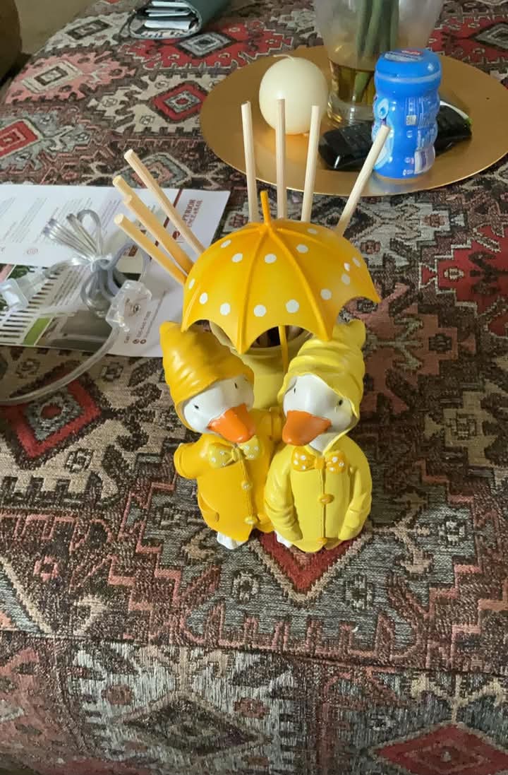 Puddle ducks diffuser